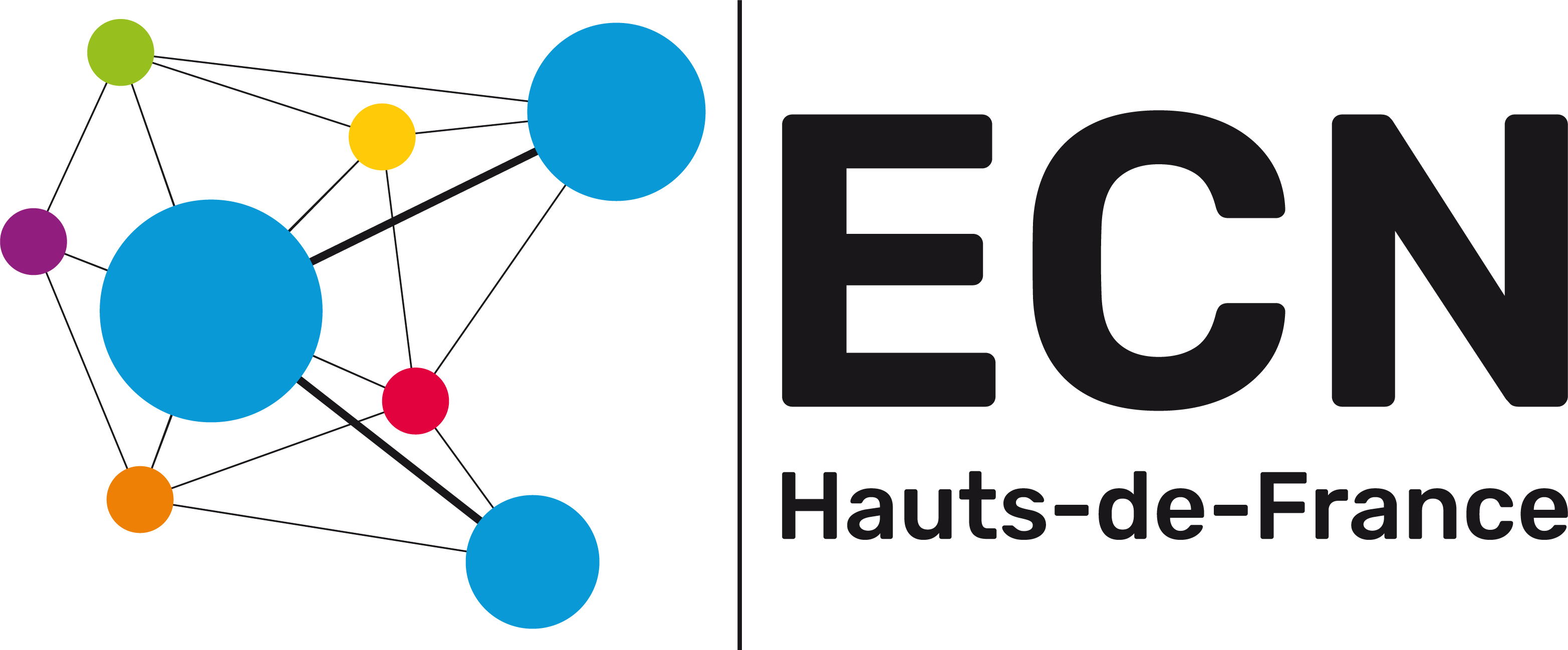 Logo ECN